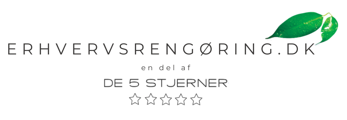 Erhvervsrengøring